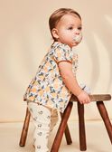 Blouse vanille en satin à fruits FAPENNY / 23E1BFO1CHE114