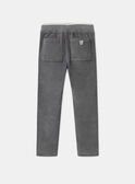 Pantalon Gris en Velours LADURAGE / 24H3PGQ1PANJ909
