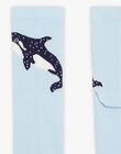 Lot de 5 chaussettes assorties FRILOTAGE / 23E4PGJ1LC5070