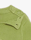 Pull kaki clair en tricot à broderie dinosaure FAOFLO / 23E1BGO1PUL612