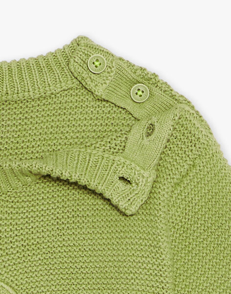 Pull kaki clair en tricot à broderie dinosaure FAOFLO / 23E1BGO1PUL612