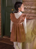 Robe chasuble marron en velours LAROMETTE / 24H2PFS1CHSI810