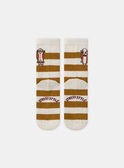 Chaussettes rayées avec skateboard MASOCAGE / 25E4PG71SOQ114