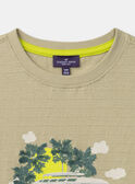 T-shirt vert amande à manches courtes Garçon NATICHAGE / 25H3PGJ1TMCG601