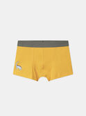 Lot de 5 boxers Dino  en jersey MLIMAINAGE / 25E5PG41BOX626