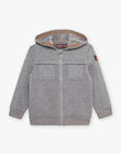 Gilet à capuche gris DESIPAGE / 22H3PGF1GILJ922