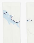 Lot de 5 chaussettes assorties FRILOTAGE / 23E4PGJ1LC5070