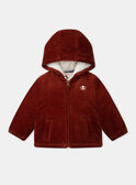 Veste Marron LIPRINCE / 24H1BG71VESI801