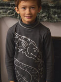 Sous-pull Gris Dragon LADRAGE / 24H3PGQ1SPLJ922