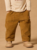 Pantalon en velours côtelé MAAXEL / 25E1BG71PAN812