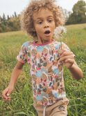 T-shirt pêche thème tropiques FICHEMAGE / 23E3PGD1TMC413