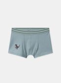Lot de 3 boxers à rayures, imprimé ou uni Garçon NUIBOXAGE / 25H5PGC1BOX608