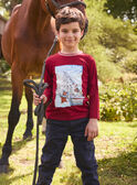 Tshirt Groenland LARENAGE / 24H3PGR2TML501