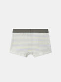 Lot de 5 boxers Dino  en jersey MLIMAINAGE / 25E5PG41BOX626