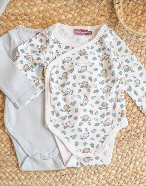 Lot de 2 bodies fantaisies en coton bio naissance garçon