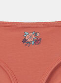 Lot de 5 culottes Fraise MLIVETTE / 25E5PF41SLR301