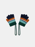 Gants en maille LIOGANAGE / 24H4PG81GAN070