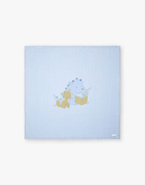Lot De 3 Langes Bebe Garcon En Coton Bio Collection 0 12 Mois Naissance Sergentmajor