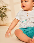 Short en twill turquoise moyen FAVLADIMIR / 23E1BGQ1SHO209