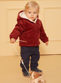 Veste Marron LIPRINCE / 24H1BG71VESI801
