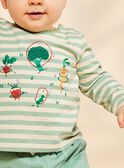 T-shirt vanille à rayures et légumes FACLEM / 23E1BGB1TML611