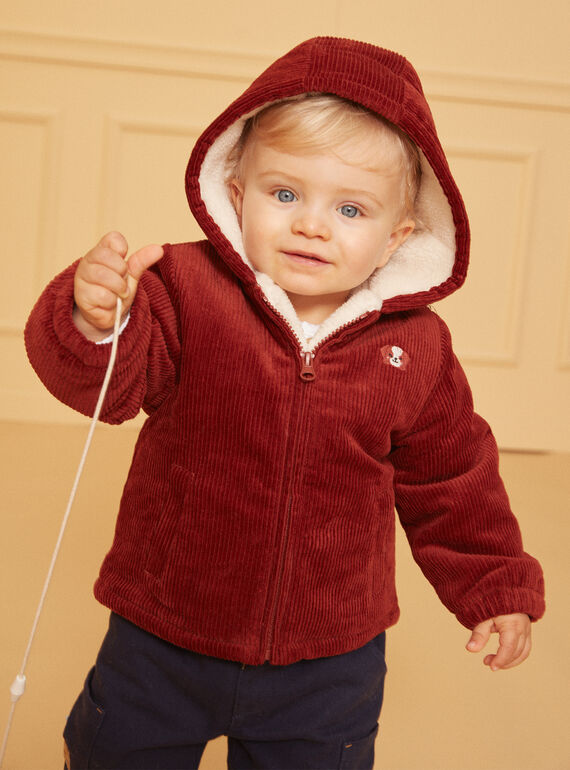 Veste Marron LIPRINCE / 24H1BG71VESI801