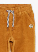 Pantalon ample beige en velours GLAVELTAGE / 23H3PGI1PANI819
