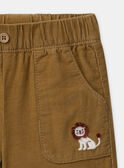 Pantalon en velours côtelé MAAXEL / 25E1BG71PAN812