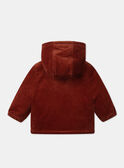 Veste Marron LIPRINCE / 24H1BG71VESI801