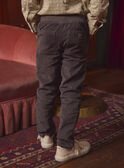 Pantalon Gris en Velours LADURAGE / 24H3PGQ1PANJ909
