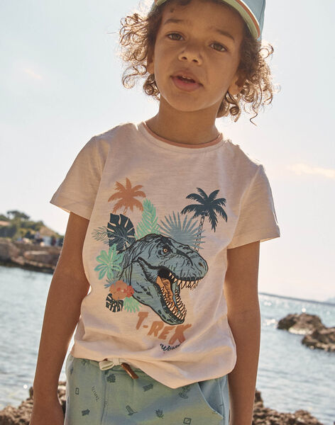 T-shirt à motif dinosaure FLUREXAGE / 23E3PGQ1TMCA006