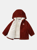 Veste Marron LIPRINCE / 24H1BG71VESI801