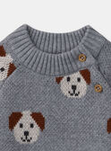 Pull jacquard chiens LAOREL / 24H1BGQ1PUL943