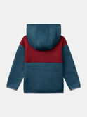 Sweat à capuche Tricolore LAROAGE / 24H3PGR1SWE714