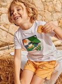 T-shirt écru à manches courtes FLEFROGAGE / 23E3PGS3TMC001