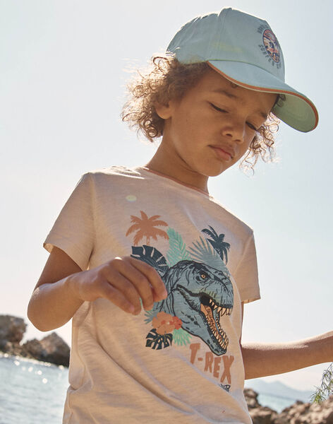 Casquette turquoise en twill à motif dinosaure FLUBEACHAGE / 23E4PGQ1CHA205