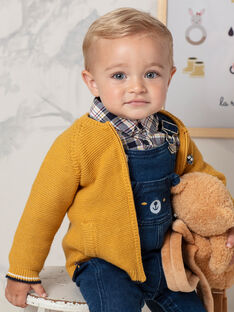Pull Gilet Et Cardigan Pour Bebe Garcon Vetements Pour Enfant De 3 A 24 Mois Pull Gilet Et Cardigan Pour Bebe Garcon Vetements Pour Enfant De 3 A 24 Mois