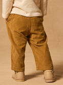 Pantalon en velours côtelé MAAXEL / 25E1BG71PAN812