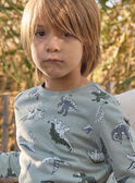 Sweat-Shirt Dinosaures MISWETAGE / 25E3PG91SWEG600