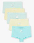 Lot de 5 shortys assortis en coton biologique FLOPYETTE / 23E5PFH2SHY614