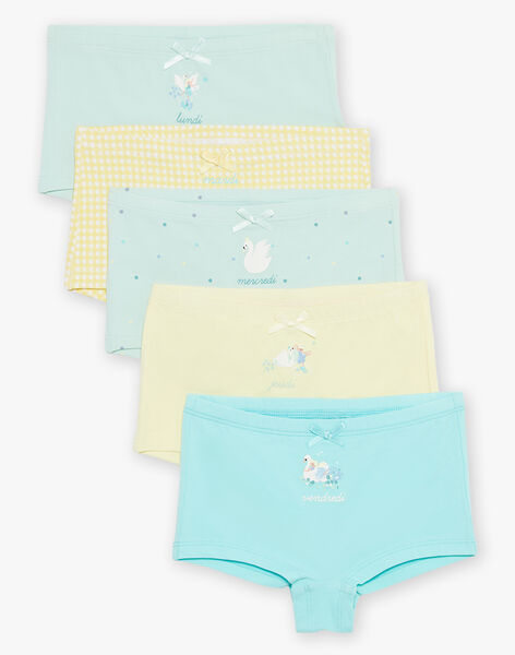 Lot de 5 shortys assortis en coton biologique FLOPYETTE / 23E5PFH2SHY614