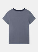 T-shirt Volcan MIDINAGE / 25E3PG93TMC205