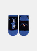 Chaussettes bleues à motif jacquard et animation requin en jersey KLOCHAGE / 24E4PGS1SOQC234