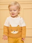 Pull tête de renard bicolore LAMIMI / 24H1BGO1PUL001