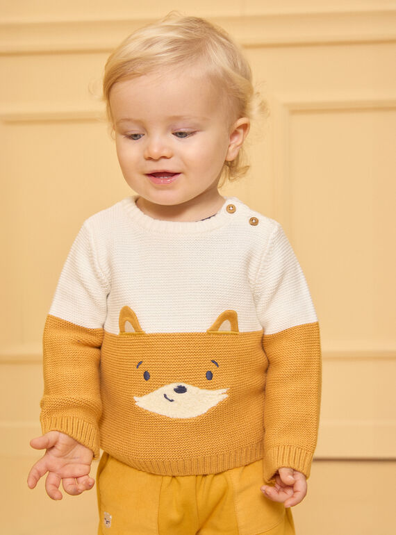 Pull tête de renard bicolore LAMIMI / 24H1BGO1PUL001