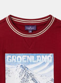 Tshirt Groenland LARENAGE / 24H3PGR2TML501
