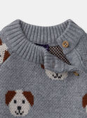 Pull jacquard chiens LAOREL / 24H1BGQ1PUL943