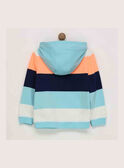 Sweat shirt turquoise RENORAGE / 19E3PGD1SWE203