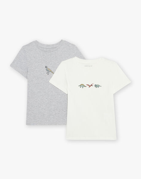2 T-shirts en coton biologique gris chiné et écrus thème dinosaures FLOTIAGE / 23E5PGH1HLIJ920