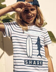 T-shirt bleu à imprimé à rayures FLYMIAGE / 23E3PGR3TMC715